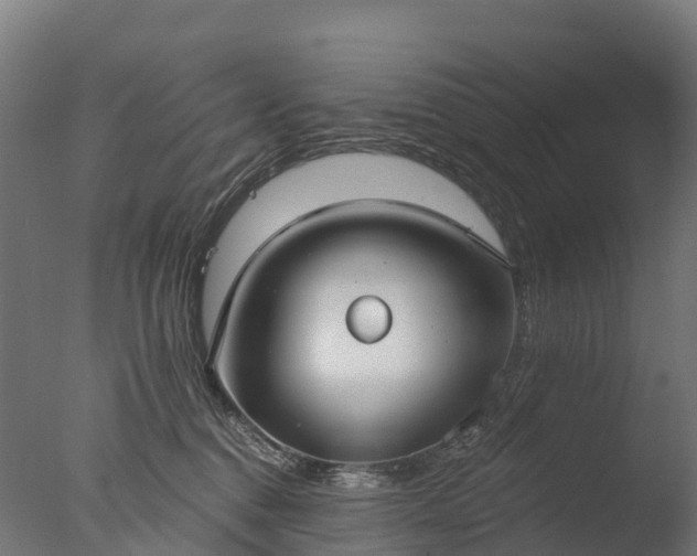 X0000076420376200610161133