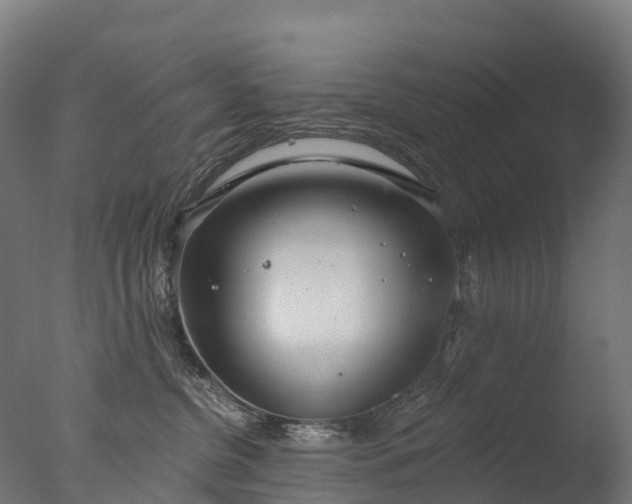 X0000076420380200610161133