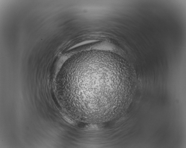 X0000076420381200610161133