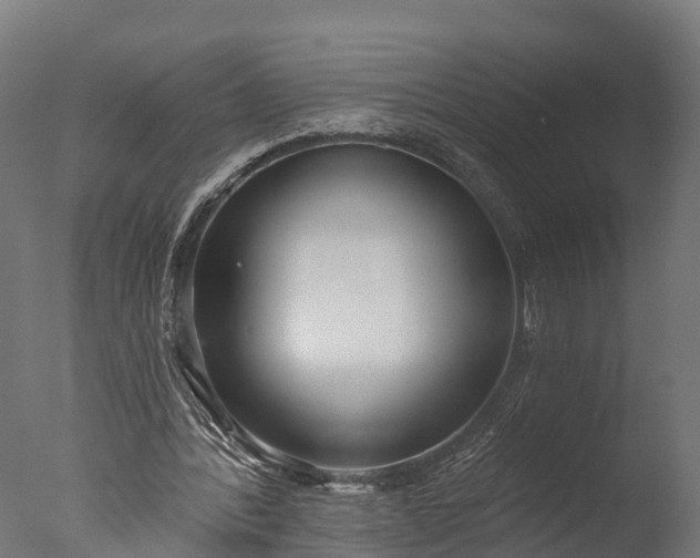 X0000076420388200610161132