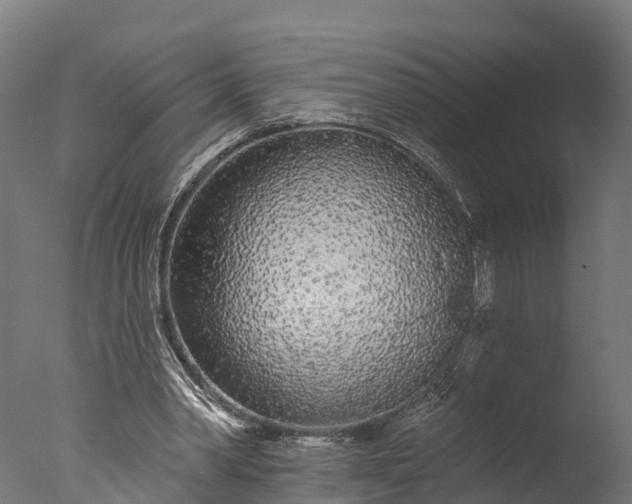 X0000076420390200610161132