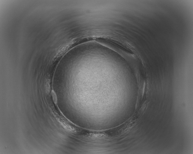 X0000076420401200610161132