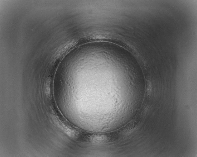X0000076420402200610161132