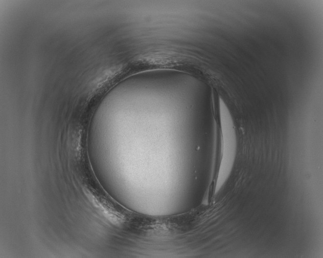 X0000076420404200610161132