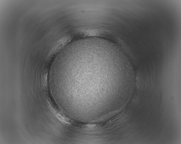 X0000076420406200610161132