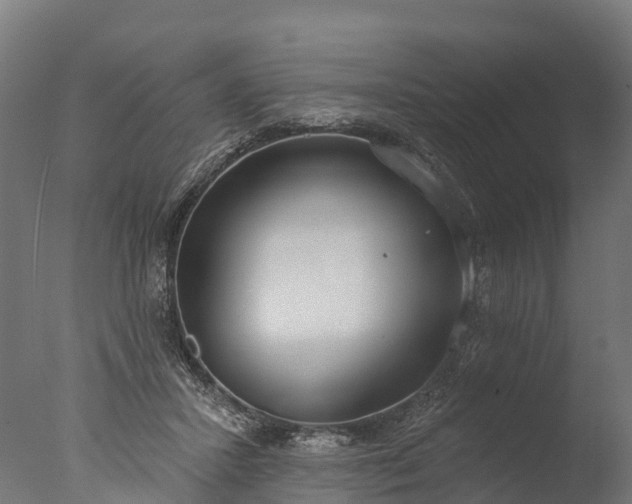 X0000076420407200610161132