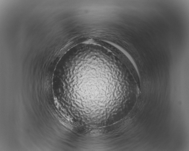X0000076420409200610161132