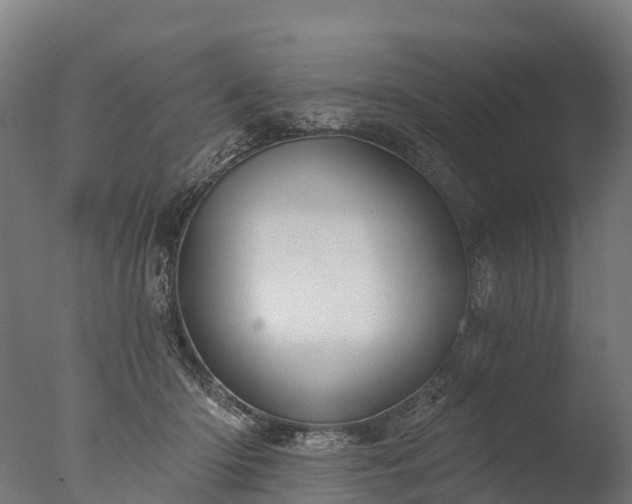 X0000076420414200610161132