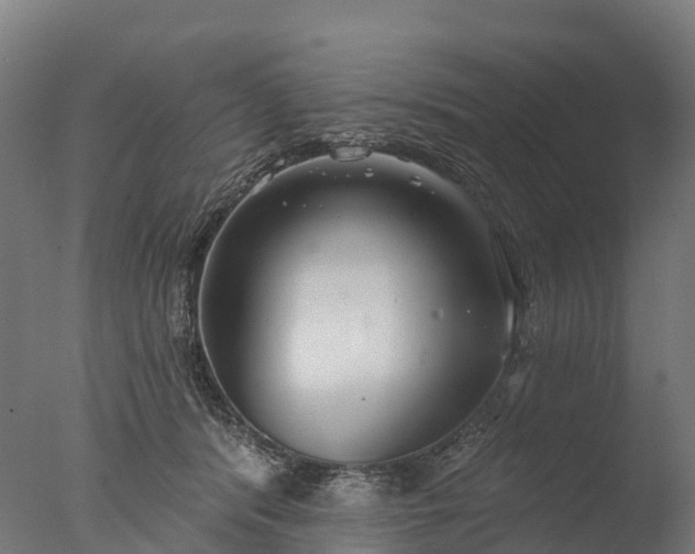 X0000076420416200610161132