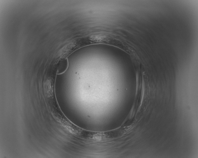X0000076420420200610161132