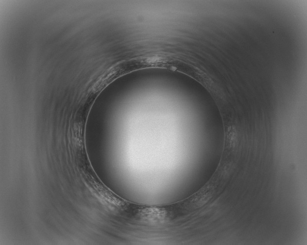X0000076420421200610161131