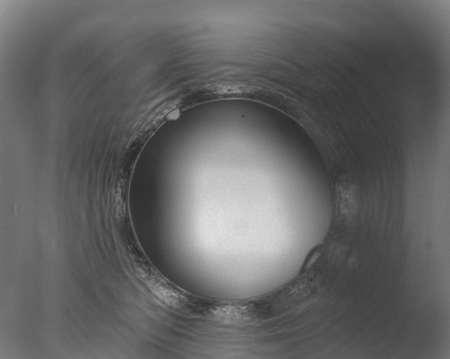 X0000076420422200610161131