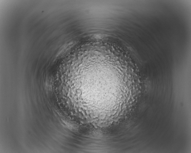 X0000076420423200610161131