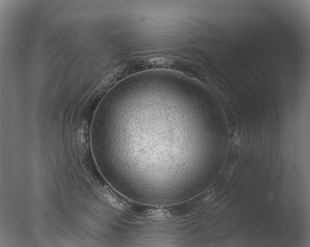 X0000076420424200610161131