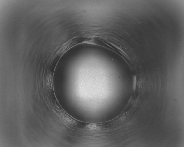 X0000076420425200610161131