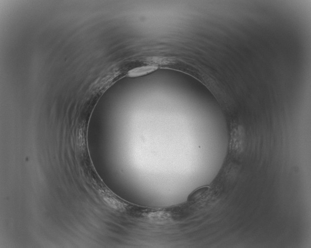 X0000076420426200610161131