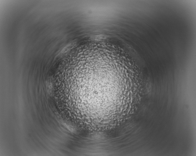X0000076420427200610161131