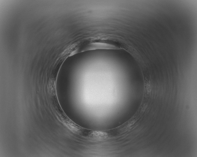 X0000076420429200610161131