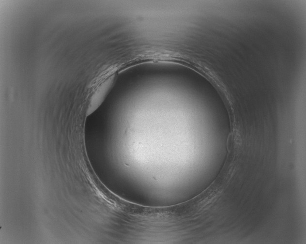 X0000076420433200610161131