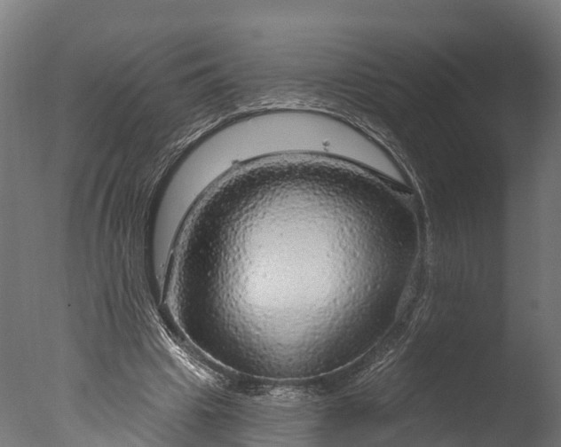 X0000076420441200610161131