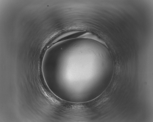 X0000076420446200610161131