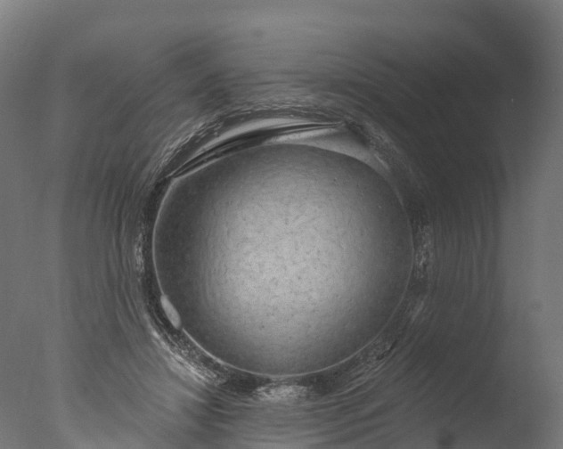 X0000076420452200610161131