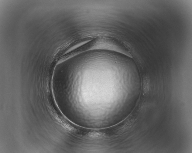 X0000076420453200610161131
