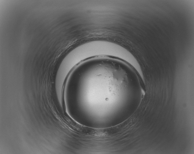 X0000076420456200610161131