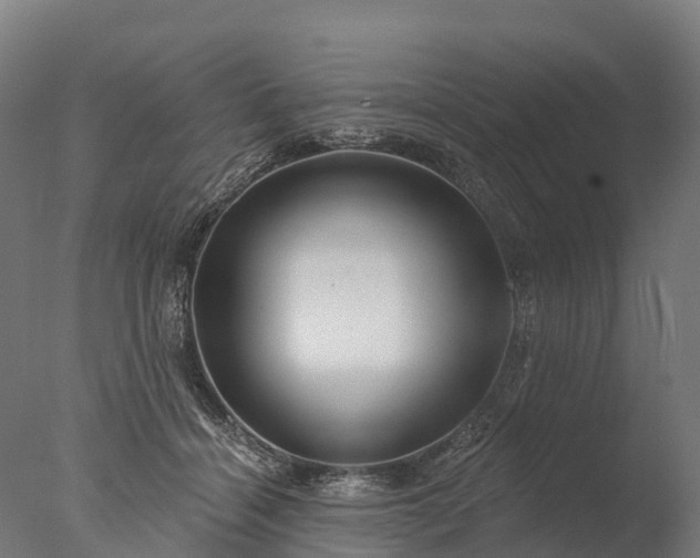 X0000076420460200610161131