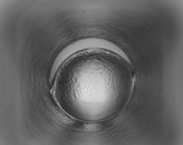 X0000076420461200610161131