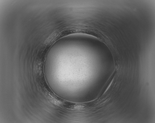 X0000076420462200610161131