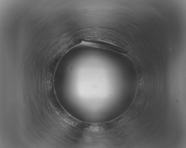 X0000076420464200610161131