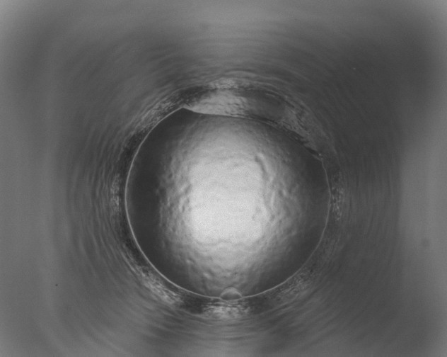 X0000076420466200610161131