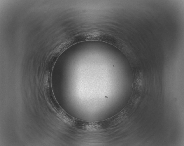 X0000076420468200610161131