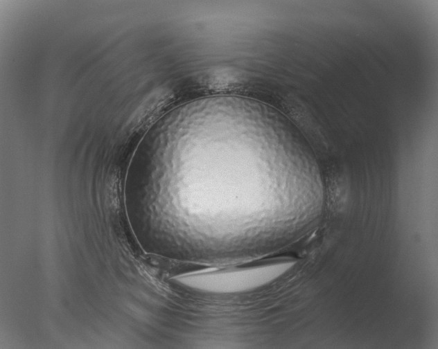 X0000076420470200610161131