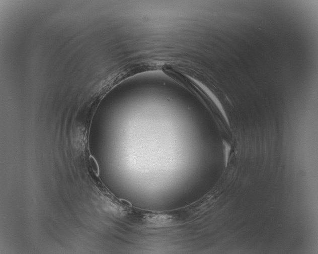 X0000076420476200610161131