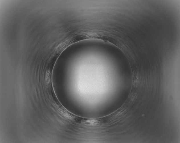 X0000076420478200610161131