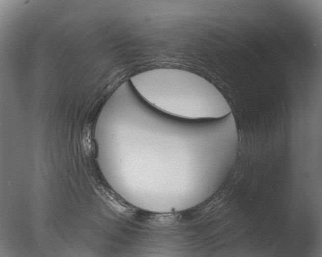 X0000076420479200610161131