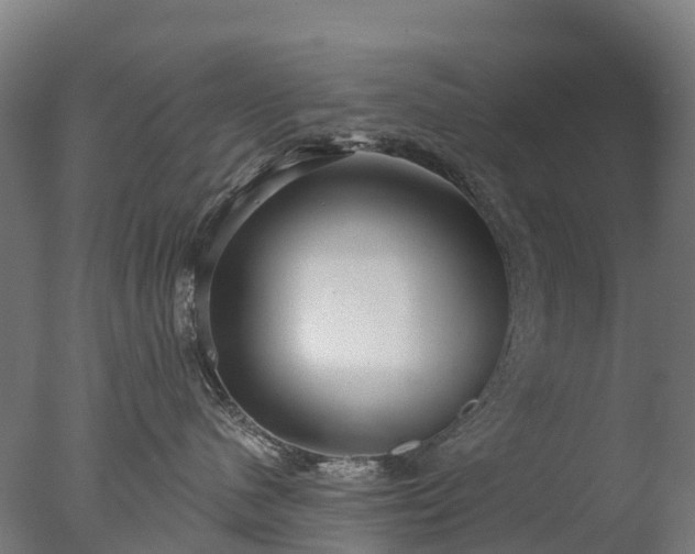 X0000076420480200610161131