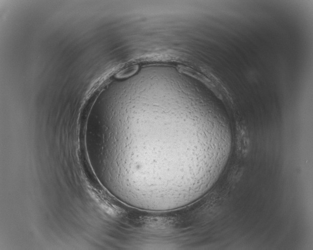 X0000076420486200610161130