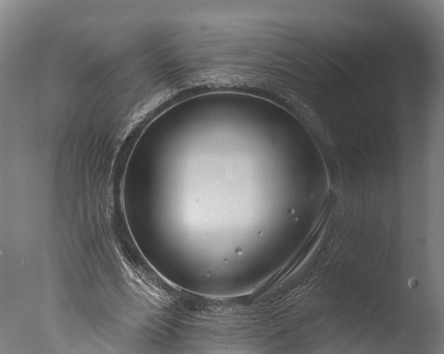 X0000076420488200610161130