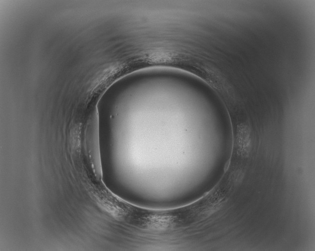 X0000076420495200610161130