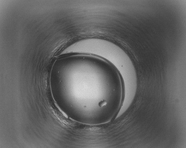 X0000076420501200610161130