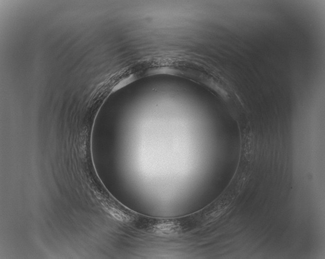 X0000076420505200610161130