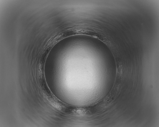 X0000076420506200610161130