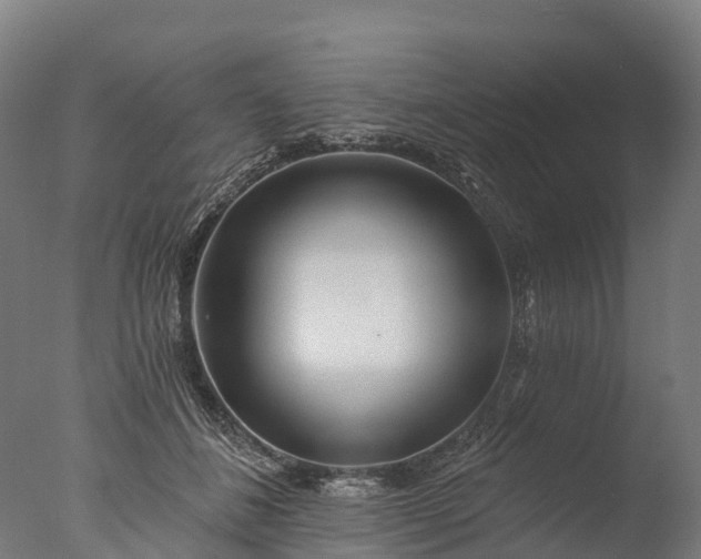X0000076420508200610161130