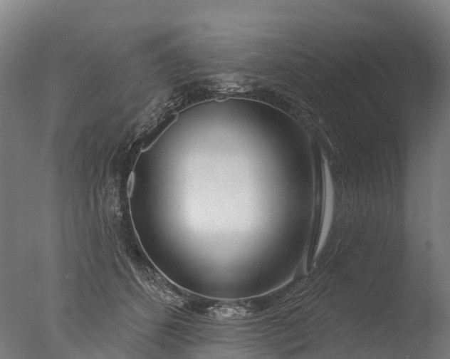 X0000076420512200610161130