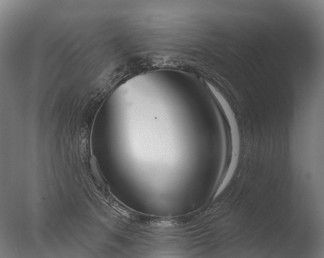 X0000076420513200610161130