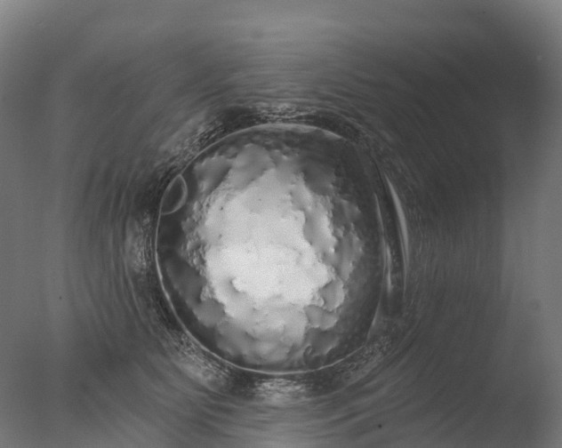 X0000076420515200610161130