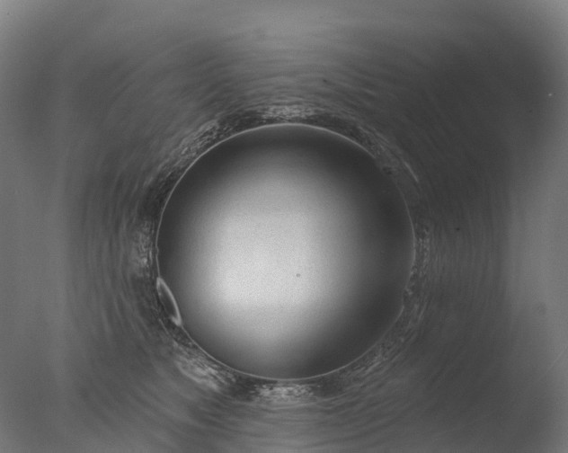 X0000076420517200610161130